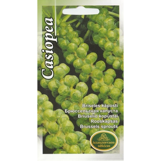 Briseles kāposti Casiopea 2g