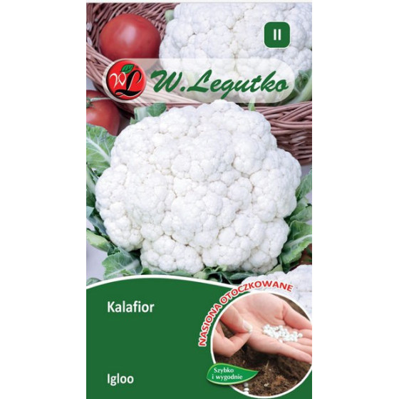Ziedkāposti Igloo 50s...