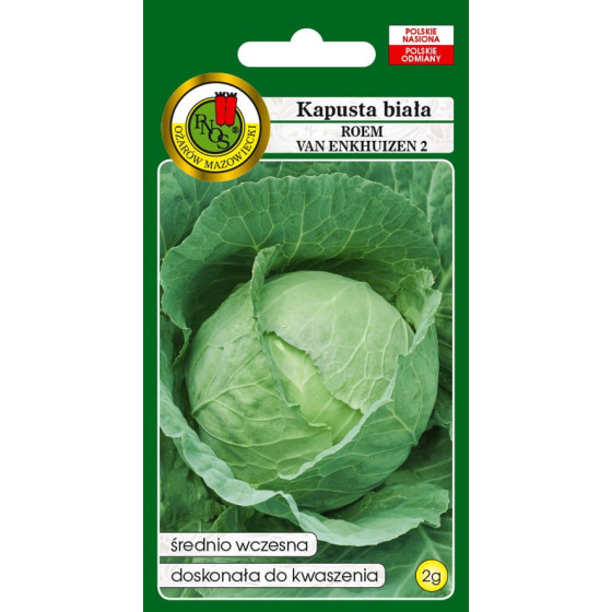 Kāposti Roem Van Enkhuizen 2g