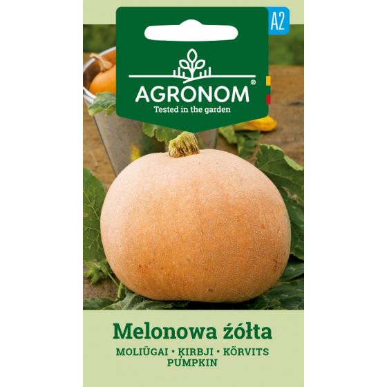 Ķirbis MELIONOWA ŽÓŁTA