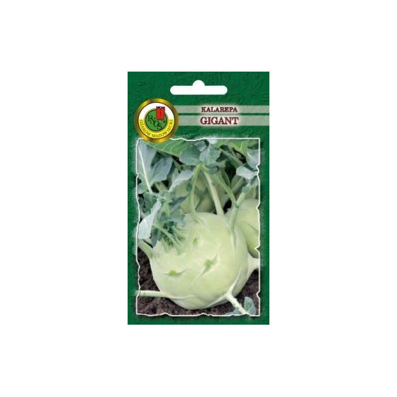 Kolrābji Gigant 2g
