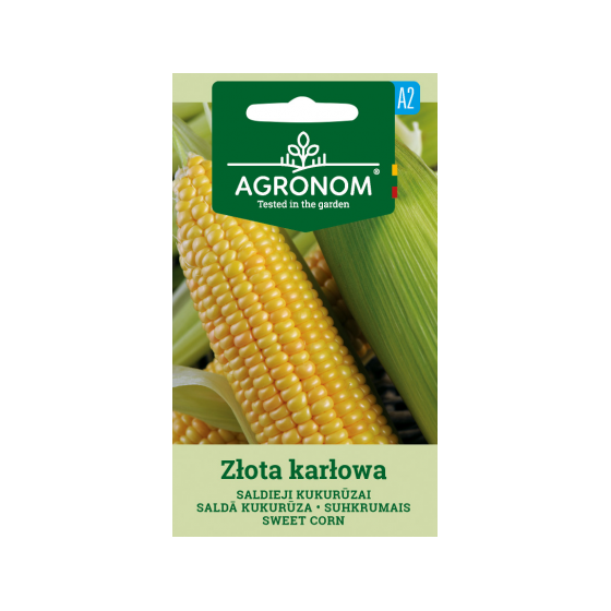 Saldā Kukurūza Złota...