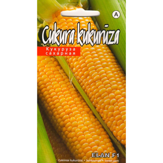 KS Kukurūza Elan F1 5g