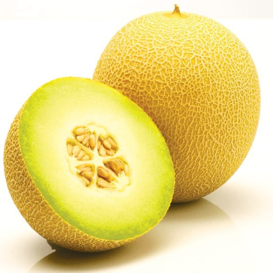 Melones Jucar RZ (5 sēklas)