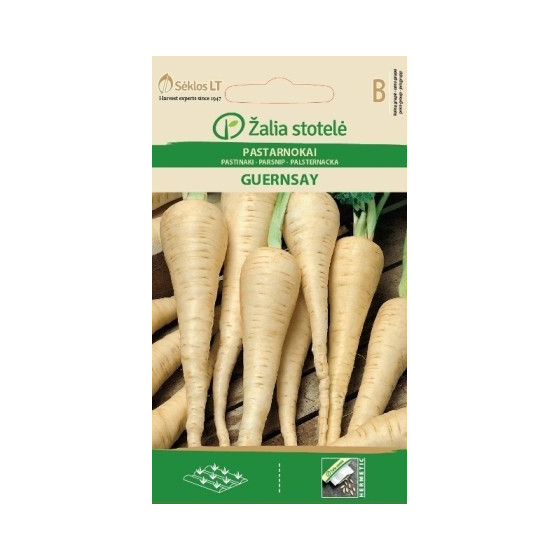 Pastinaki GUERNSEY