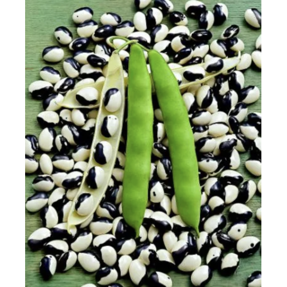 Pupiņas Ying Yang 10g