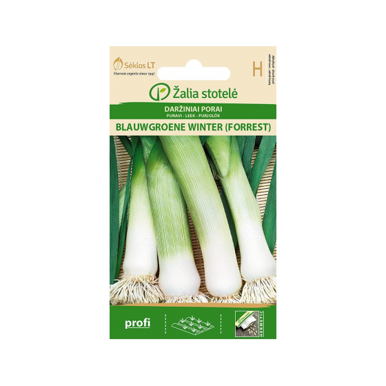 Puravi BLAUWGROENE WINTER...