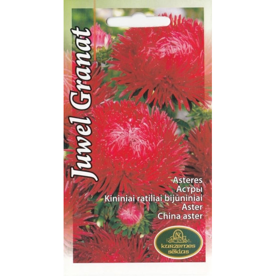 KS Asteres Juwel Granat 0.4g