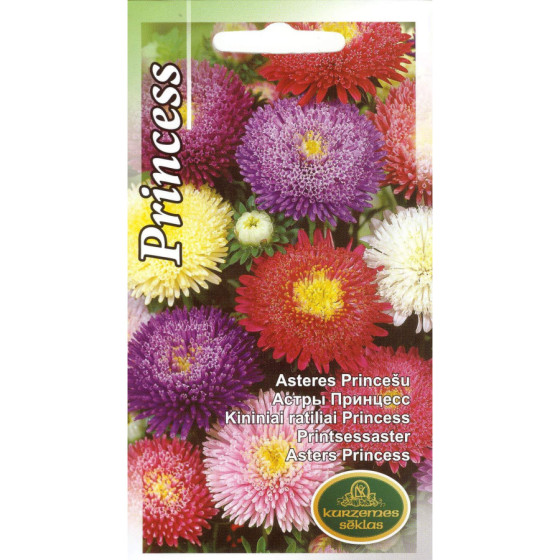 KS Asteres Princešu jauktas...