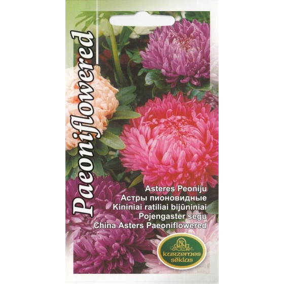 KS Asteres Peoniju jauktas...