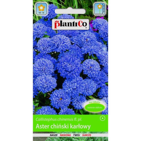 Asteres zemās Agat 1g*