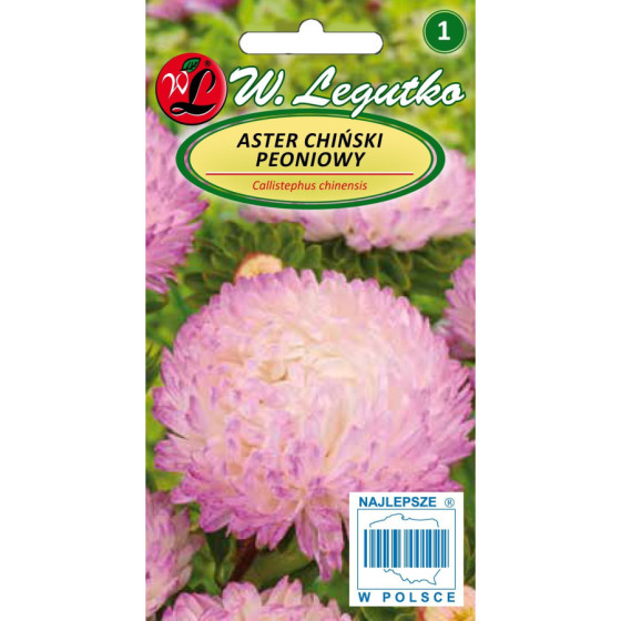 Asteres ķīnas peoniju...