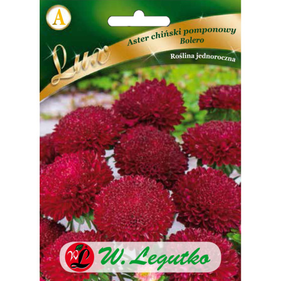 Asteres ķīnas pomponu...