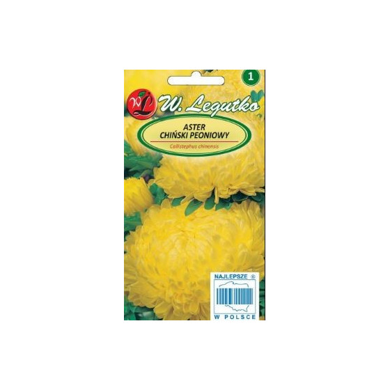 Asteres ķīnas peoniju...