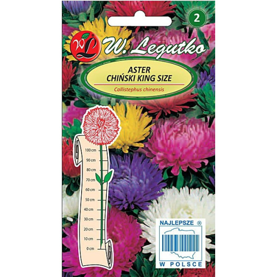 Asteres ķīnas peoniju King...