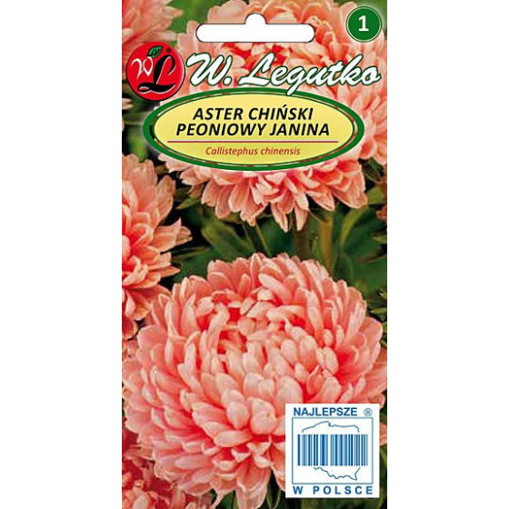 Asteres ķīnas peoniju...