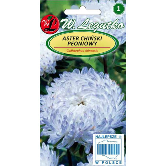 Asteres ķīnas peoniju...