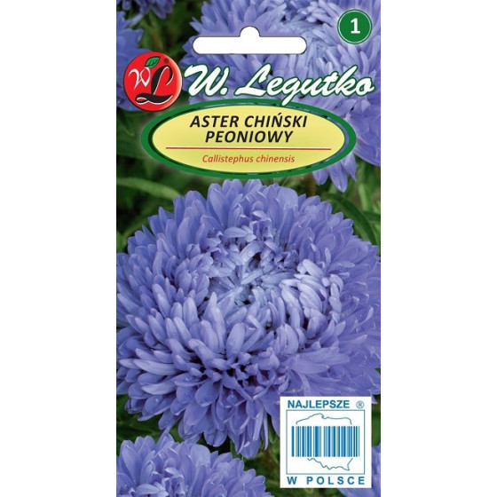 Asteres ķīnas peoniju blue...