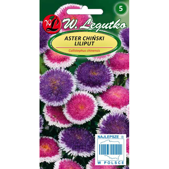 Asteres ķīnas Lilliput...