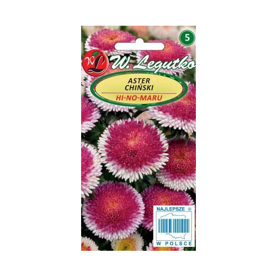 Asteres ķīnas Lilliput...