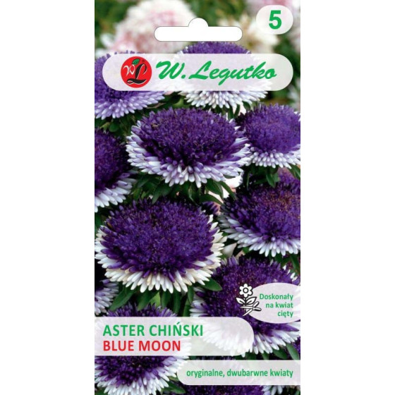 Asteres ķīnas Lilliput Blue...