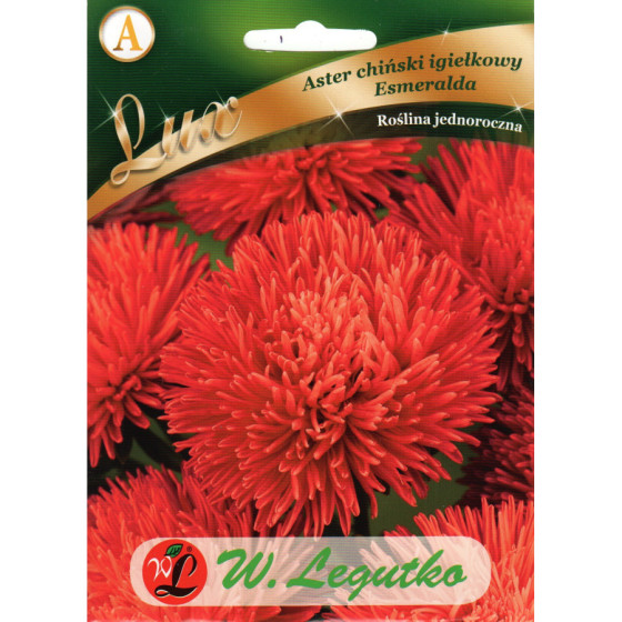 Asteres ķīnas adatu Igala...