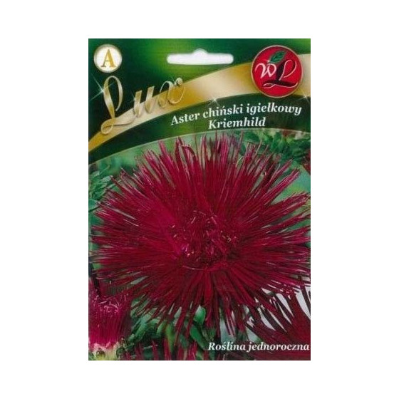 Asteres ķīnas adatu Harz...