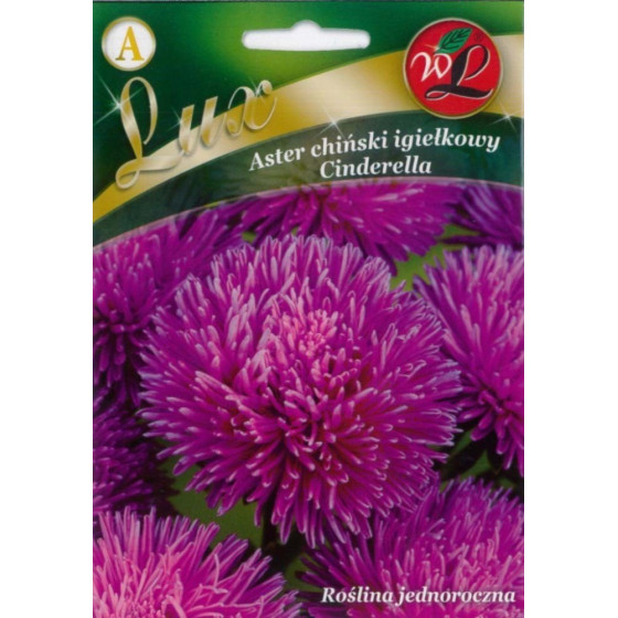 Asteres ķīnas adatu...