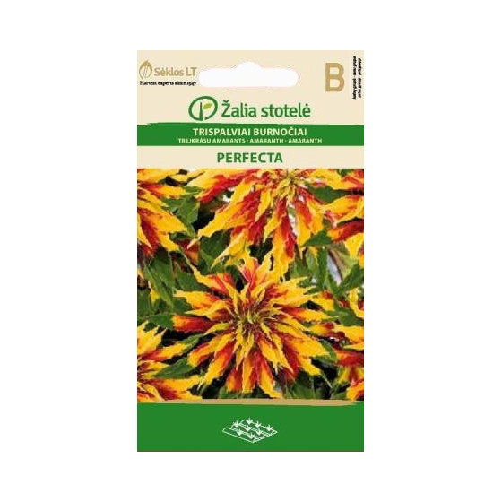 Amarants trejkrāsu PERFECTA...