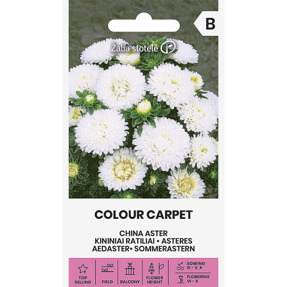 Asteres COLOUR CARPET ba.