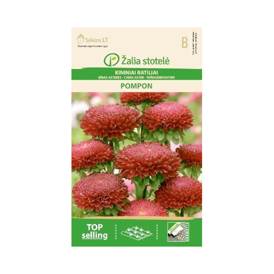 Asteres Ķīnas gr. POMPON...