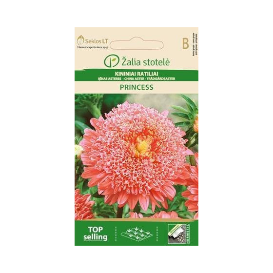 Asteres PRINCESS rozā