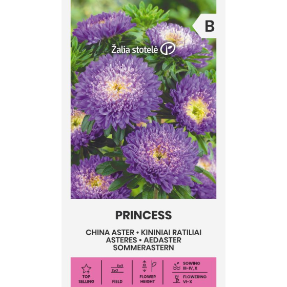 Asteres Ķīnas gr. PRINCESS...