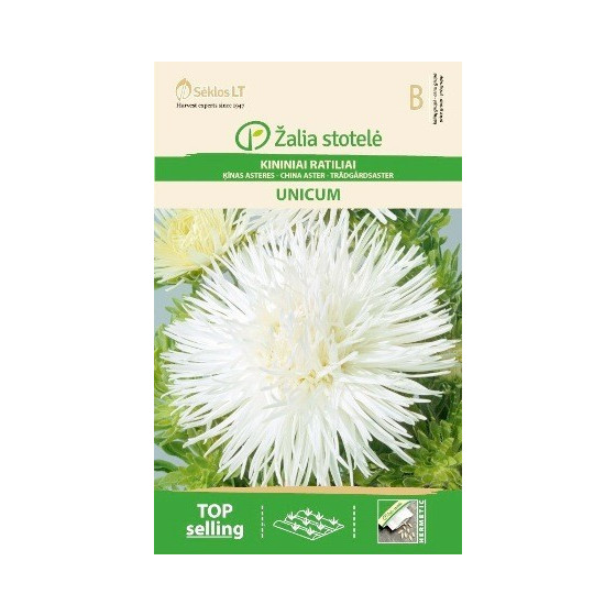 Asteres UNICUM balta