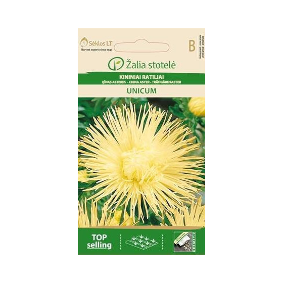 Asteres UNICUM dzeltenas