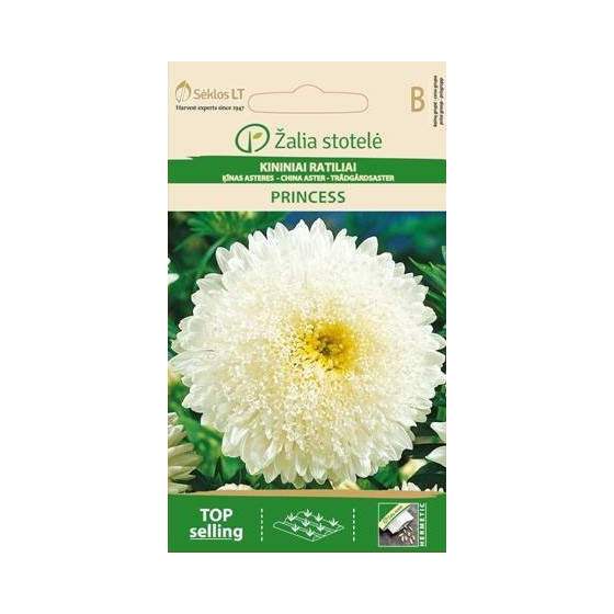 Asteres Princess baltas