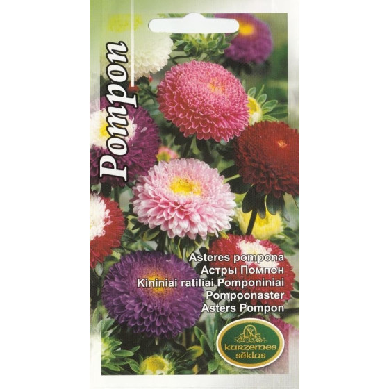 KS Asteres Pompona jauktas...