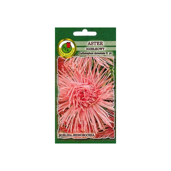 Asteres adatu tumši Rozā