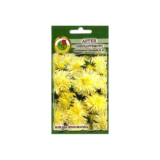 Asteres krizantēmu...