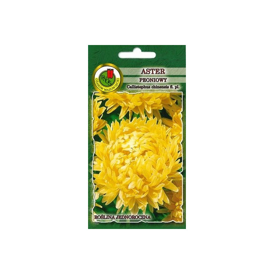 Asteres peoniju Dzeltenas