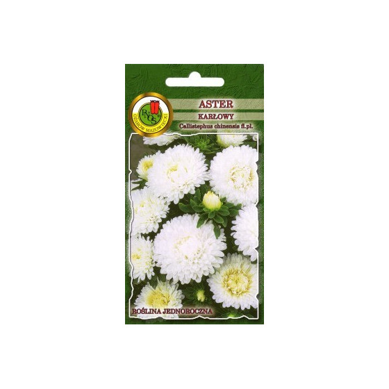 Asteres zemās Baltas