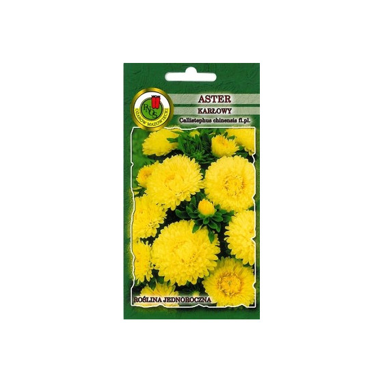 Asteres zemās Dzeltenas