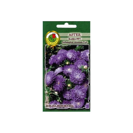 Asteres zemās Zilas