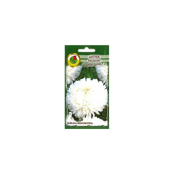 Asteres peoniju baltas