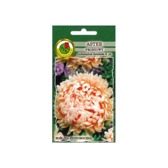 Asteres peoniju lašukrāsas