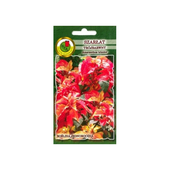 Amarants trejkrāsu Molten...