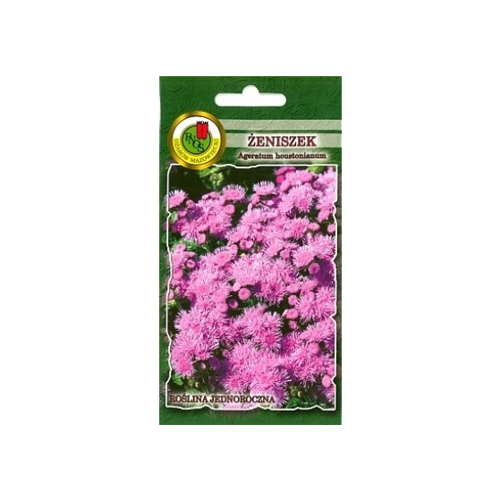 Agerāti meksikas rozā Pink...