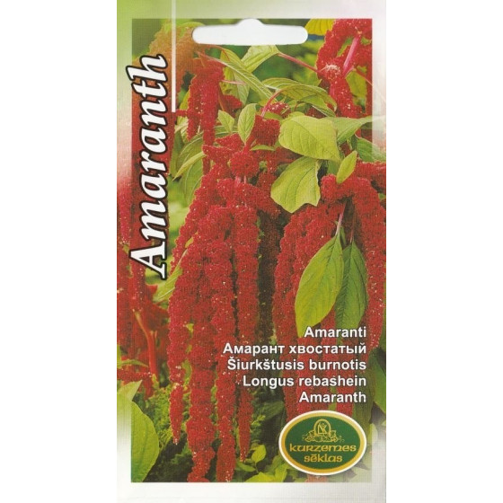 KS Amarants astainais 2g