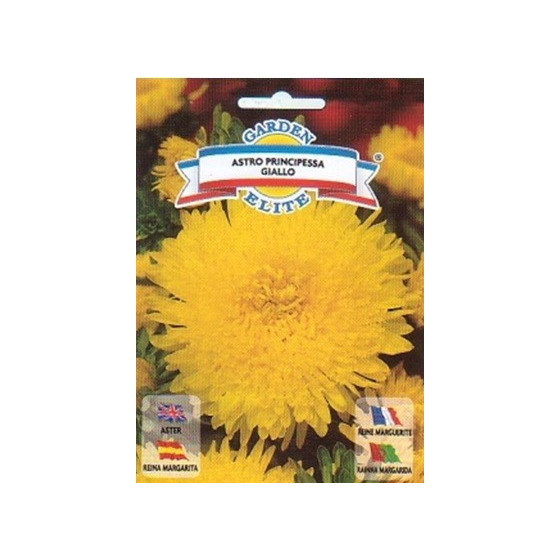 *Asteres Principessa Giallo...