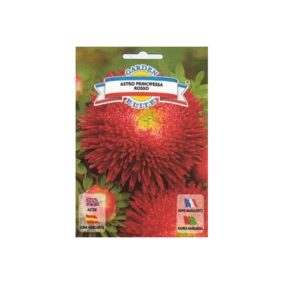 *Asteres Principessa Rosso...
